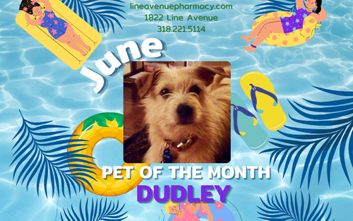 _June  2025 POM (800 x 500 px).png