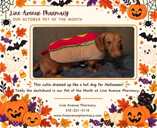 October 2026 pet.jpg