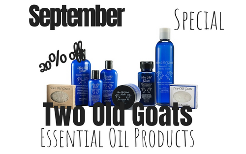 September Special (800 x 500 px) (1).png