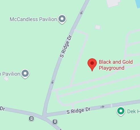 Black and Gold Playground.jpg