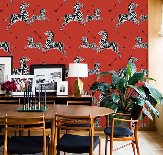 zebra wallpaper.jpg