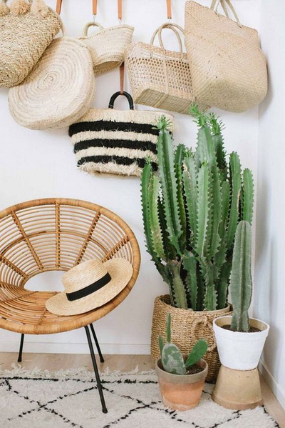 cacti and bags.jpg