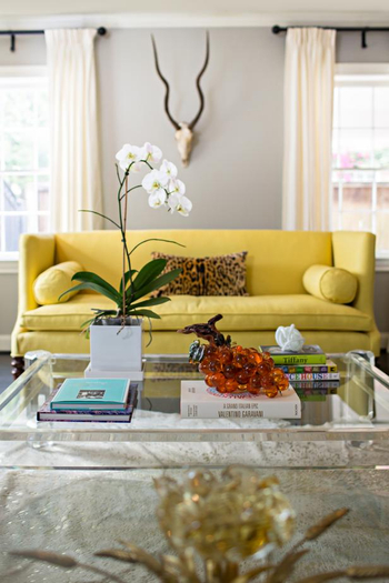 yellow couch and leopard print pillow.jpg
