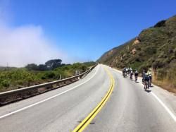 blog50_mediumthumb (1).jpg