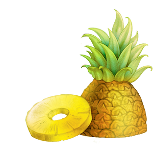 pineapple.png