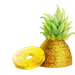 pineapple.png