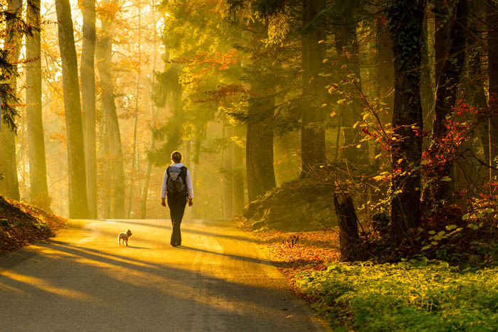 walking-as-meditation.jpg