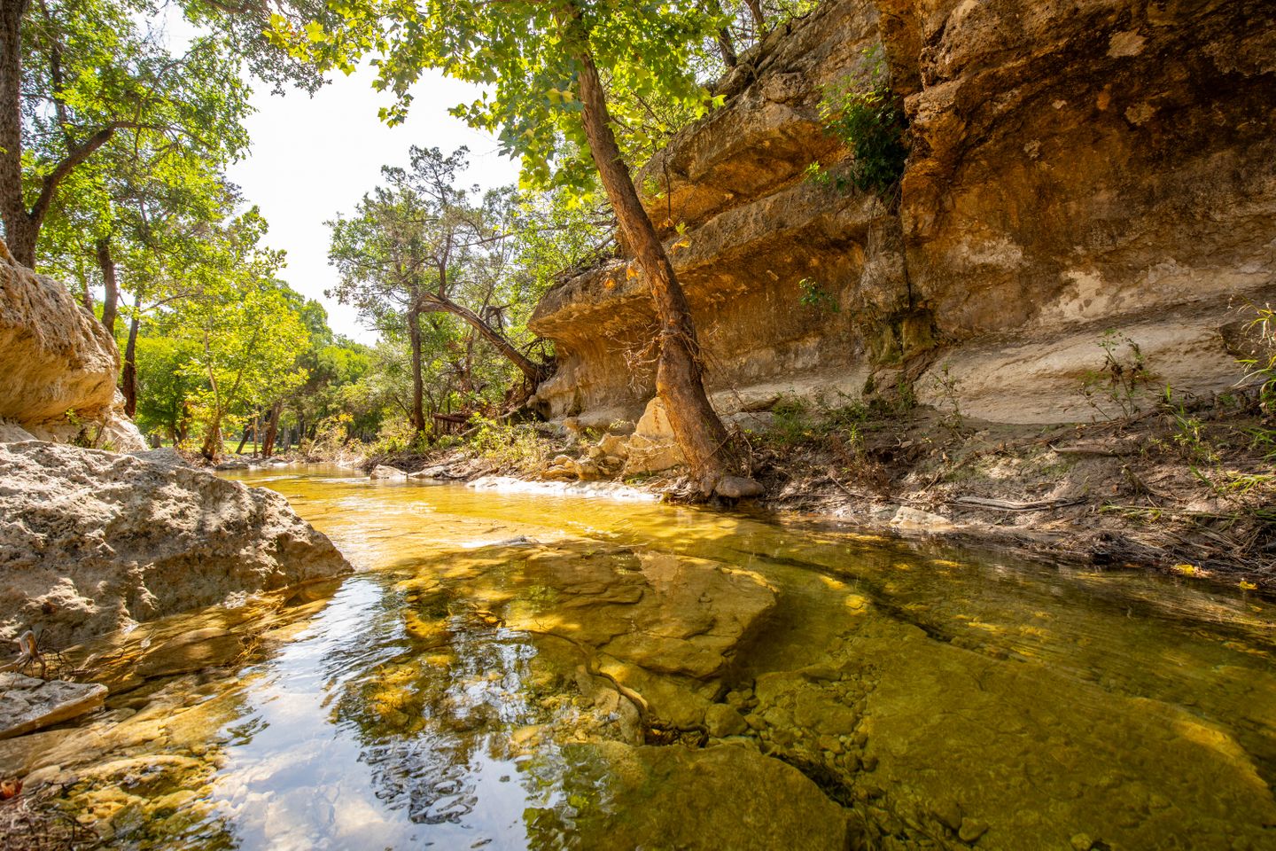 23644 Nameless (Creek Updates)-61 (1).jpg