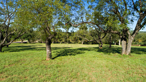 DJI_0718_1.jpg