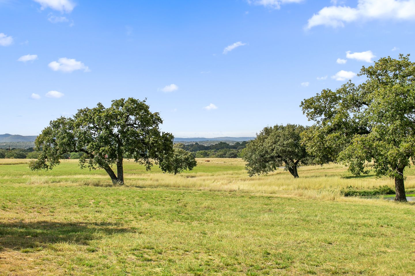 45_5W4A9156.jpg