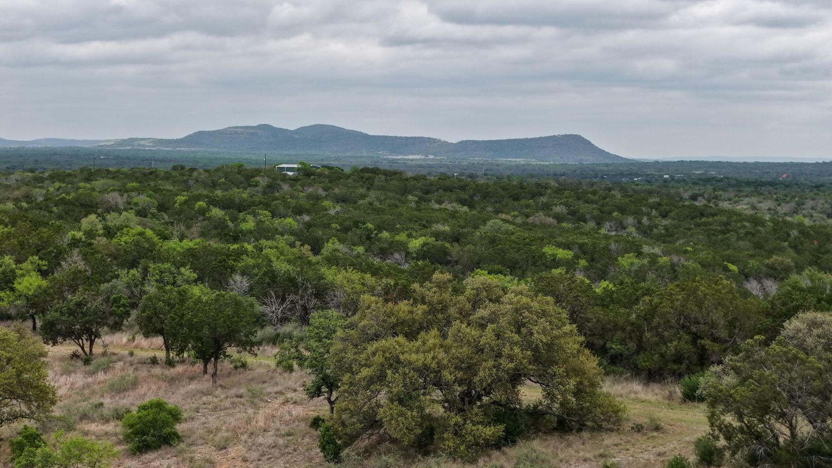 12-web-or-mls-71-962 Ranch Selects-10.jpg