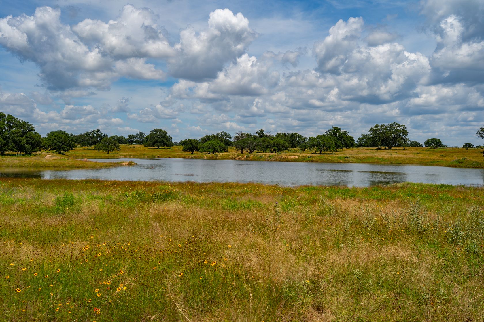 39-print-Tempe 1431 Ranch-39.jpg