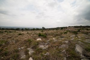 160080-11.jpg