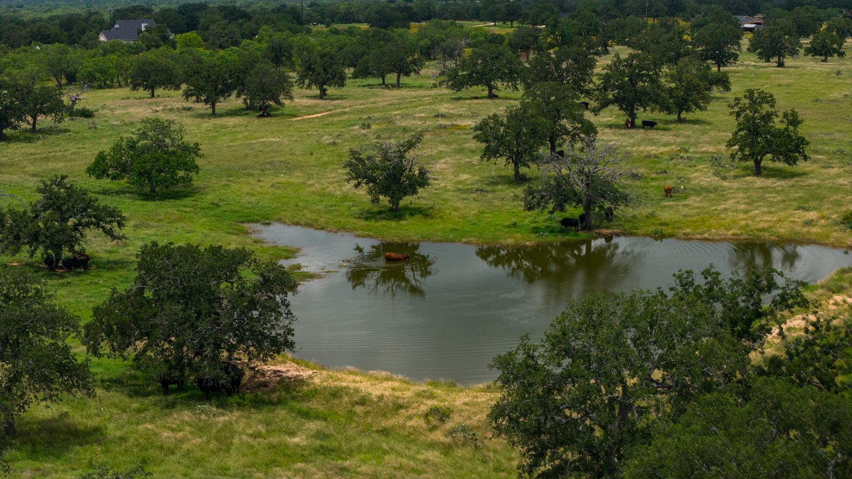 116-print-Tempe 1431 Ranch-116.jpg
