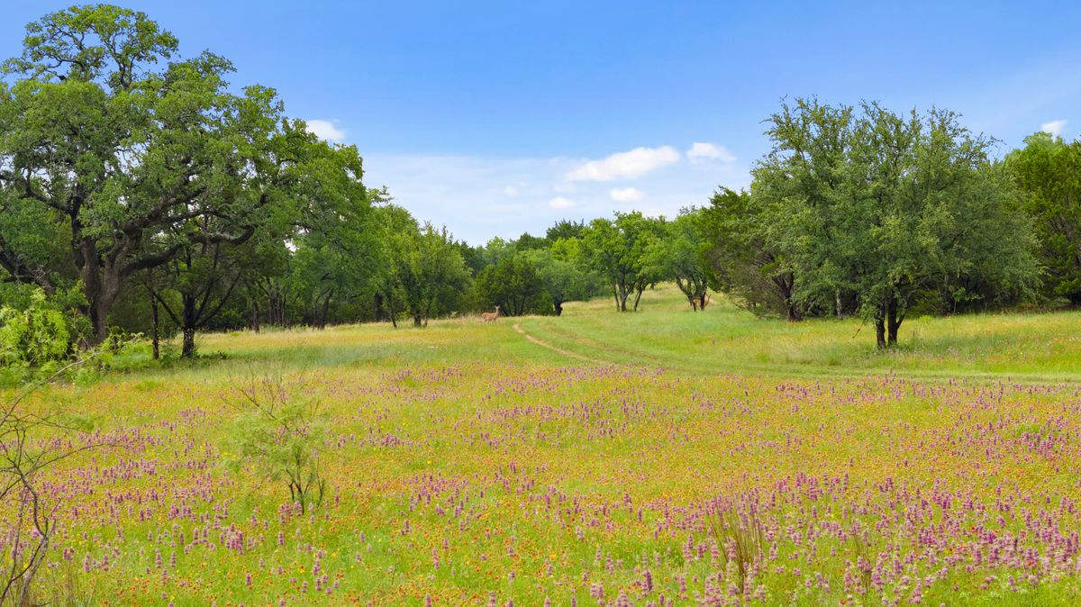 099_dji_20230529145751_0142_d_1.jpg
