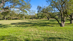 DJI_0721_1.jpg