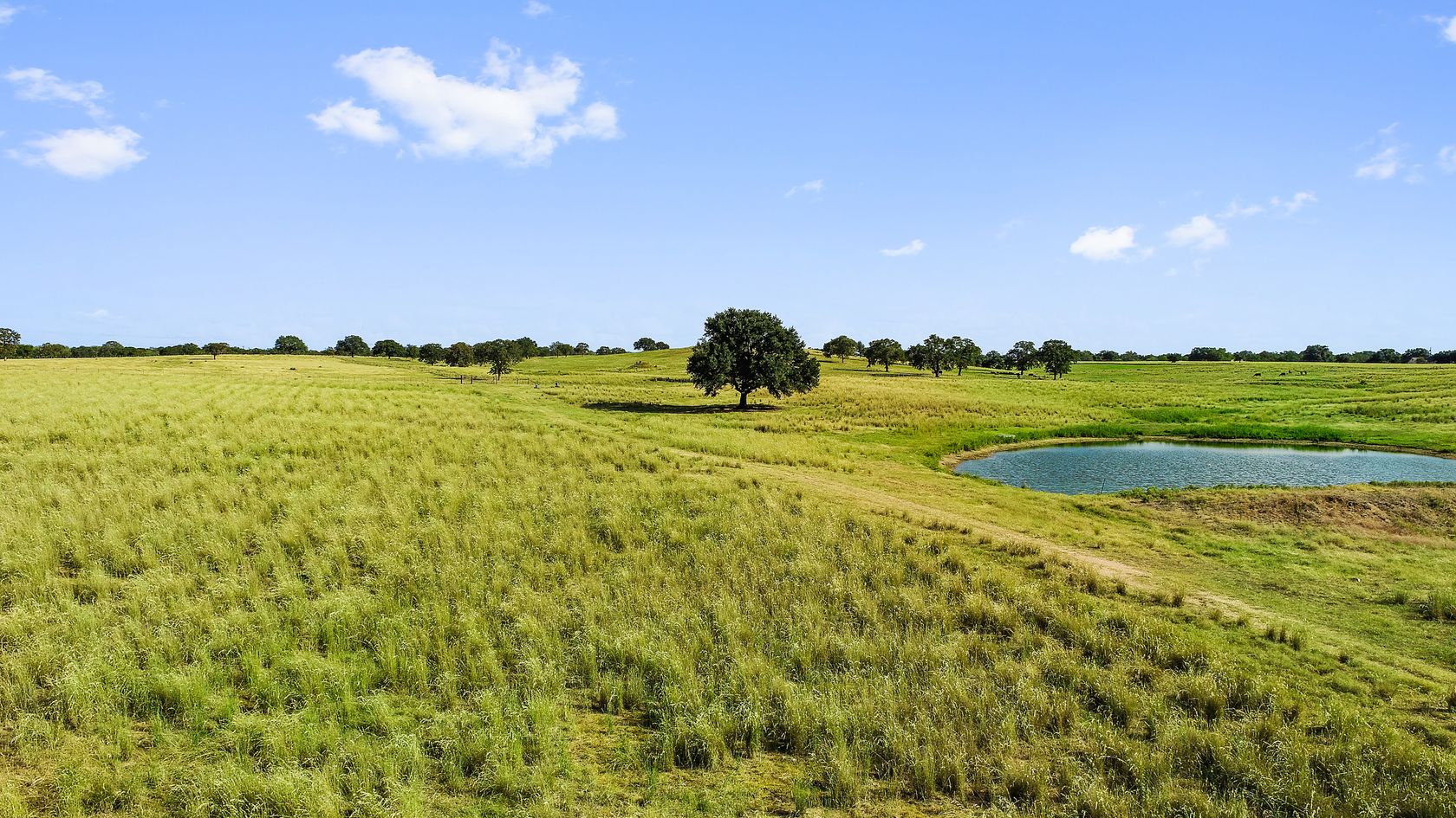 03_DJI_0009.jpg