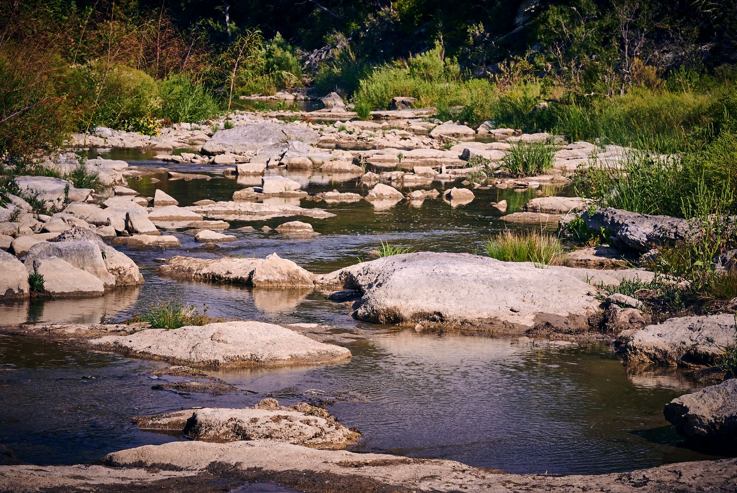 028 Z06_3937 Cherokee Creek Ranch 047.jpg