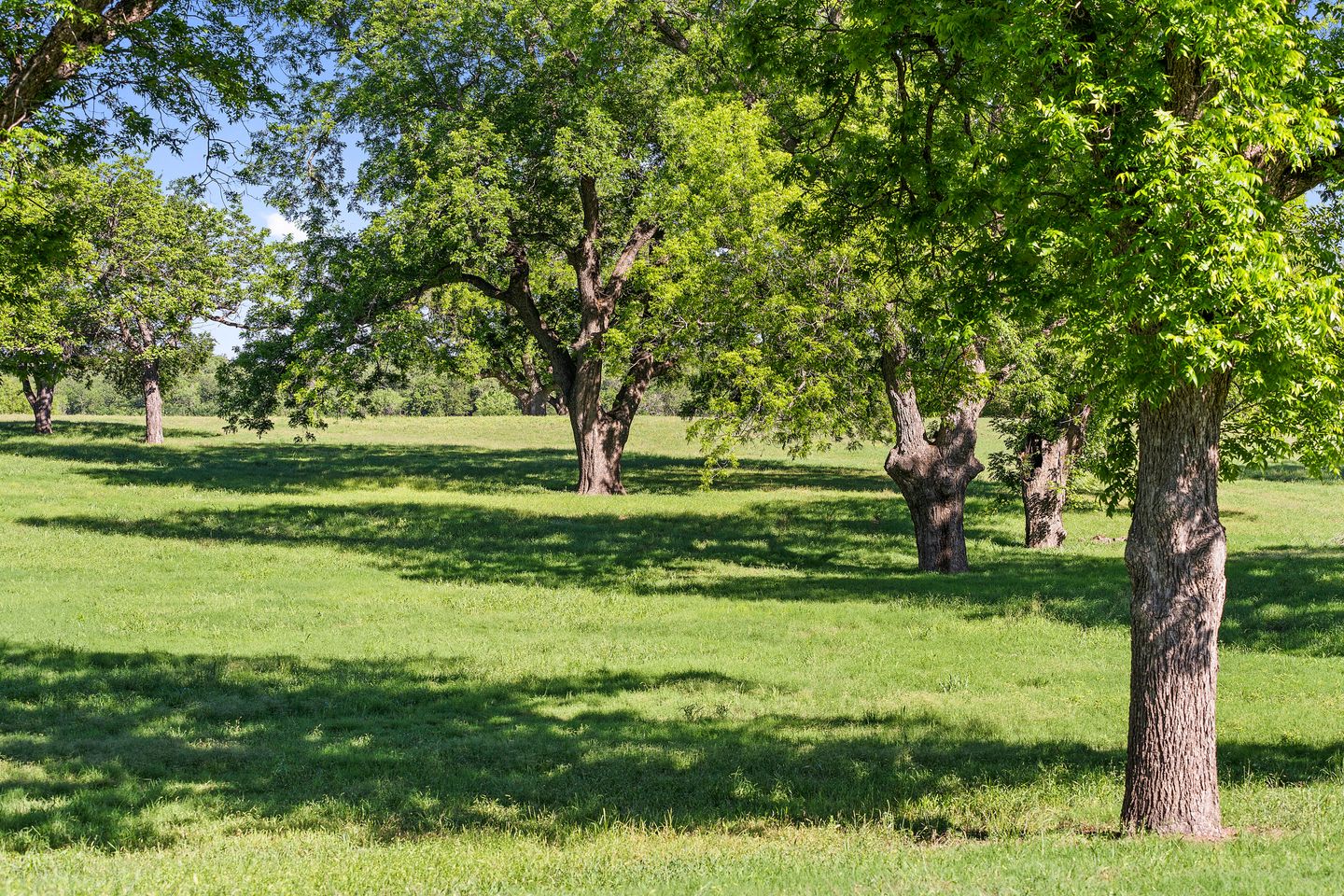 100_dsc00588_1.jpg