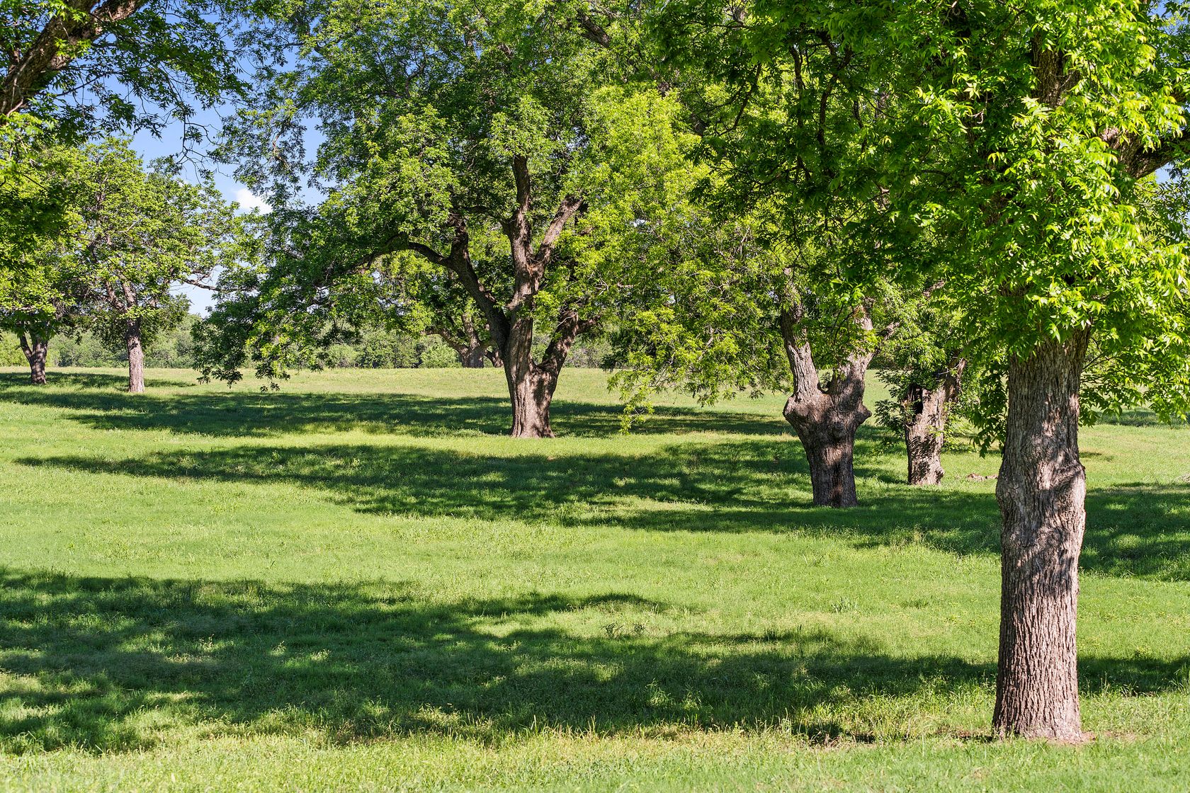 100_dsc00588_1.jpg