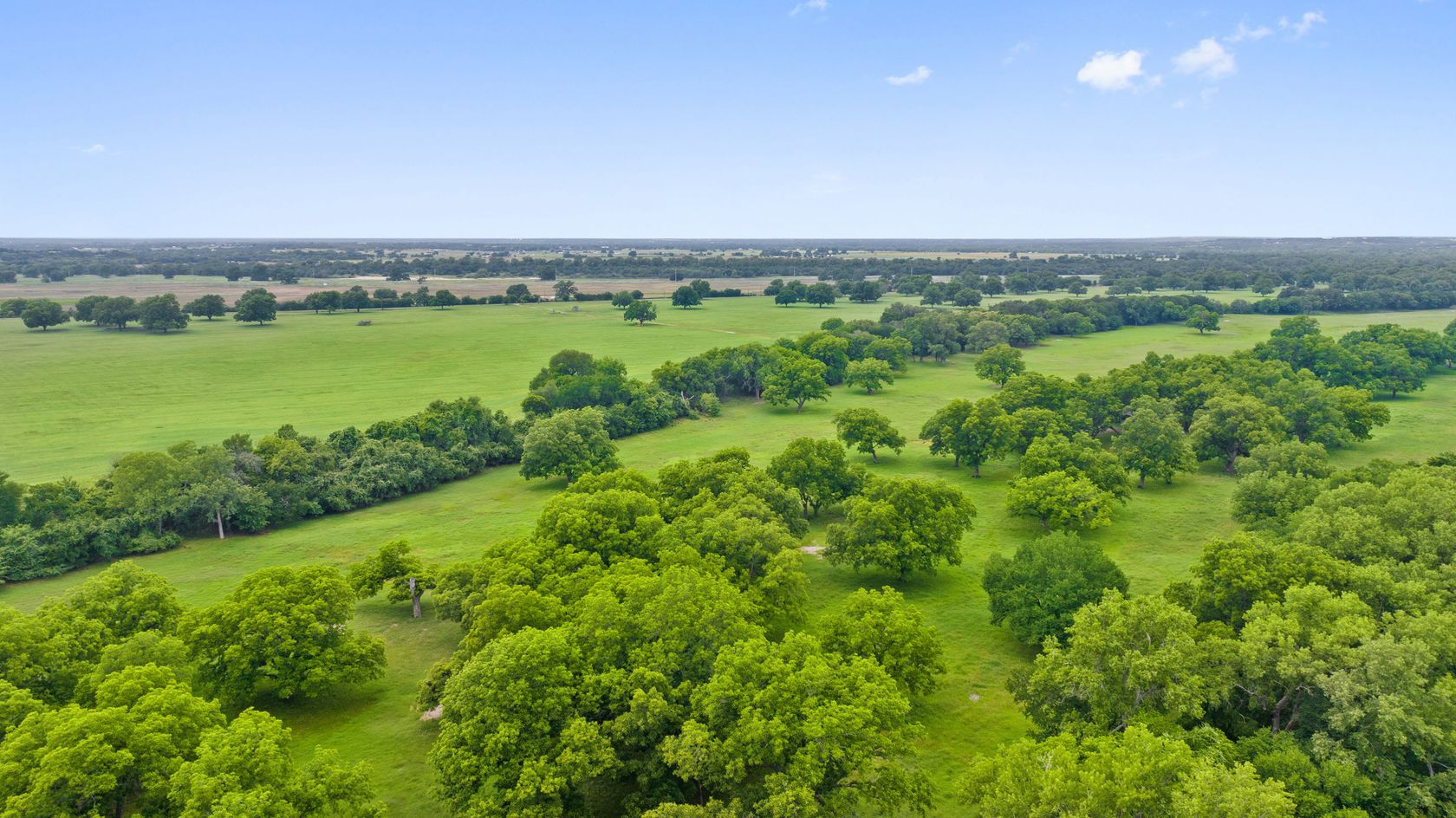 031_dji_20230529153346_0234_d.jpg