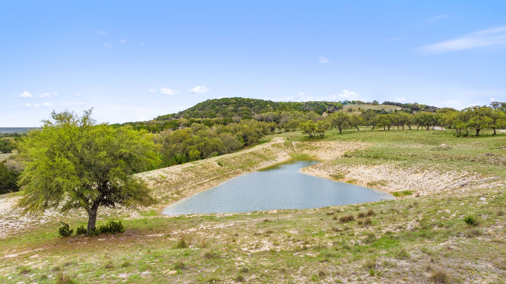 040_dji_20240319144459_0030_d.jpg