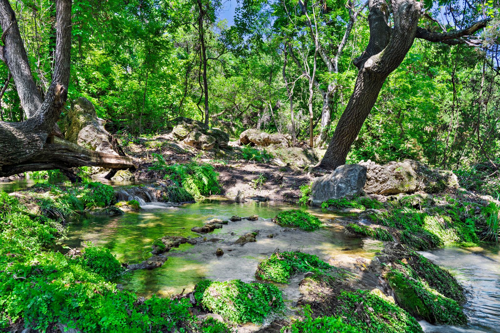 Texas Hill Country Ranches & Real Estate in Marble Falls For Sale