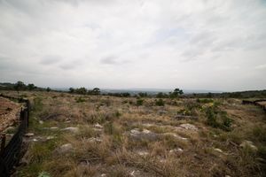 160080-10.jpg