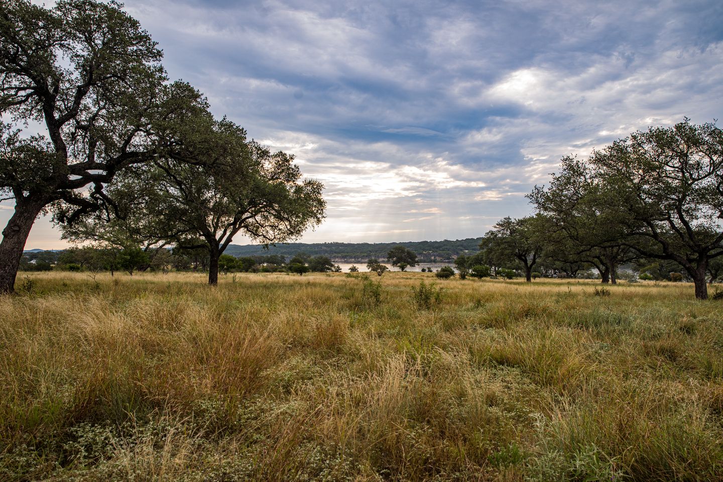 DosRios-78.jpg
