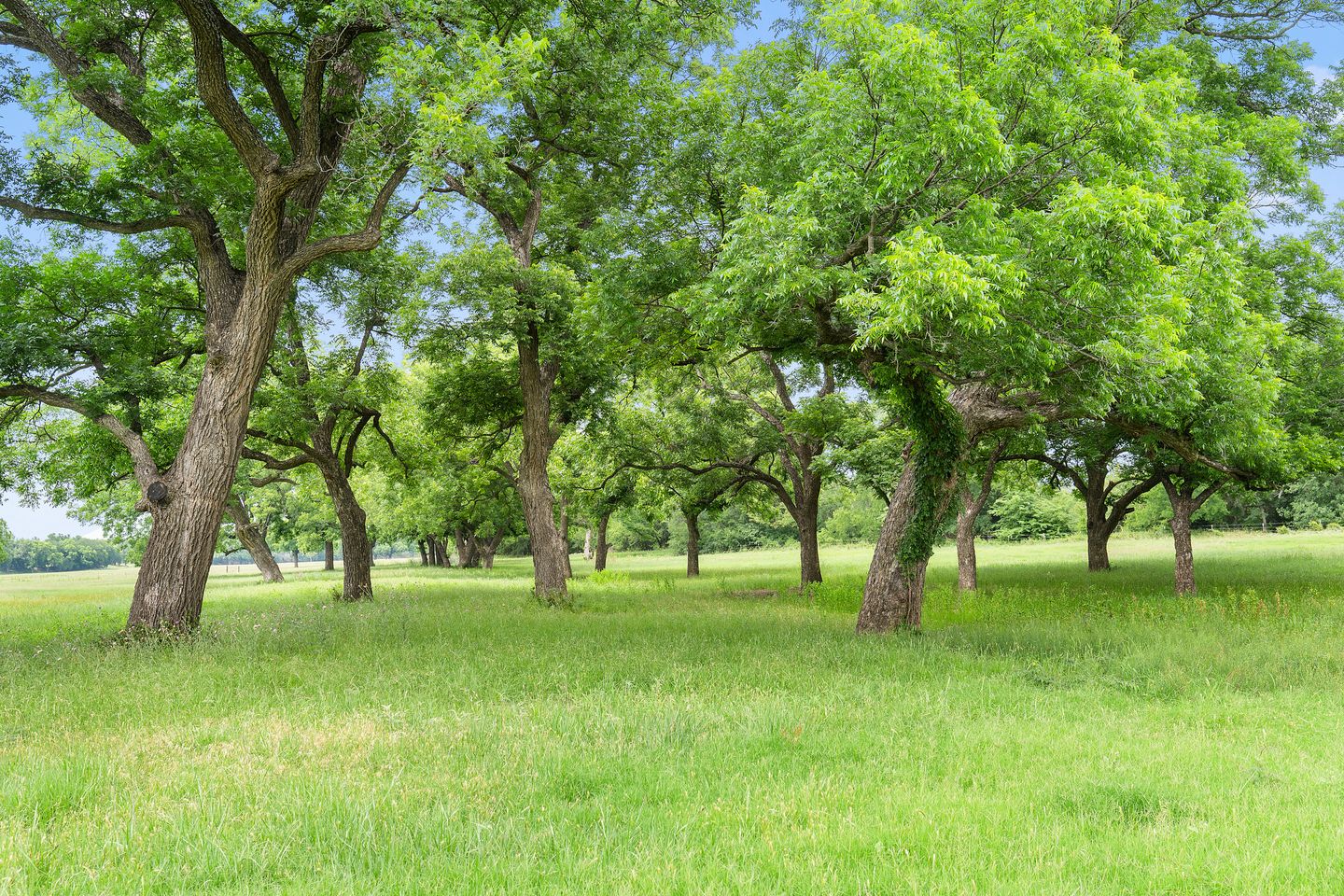 051_fg204102.jpg