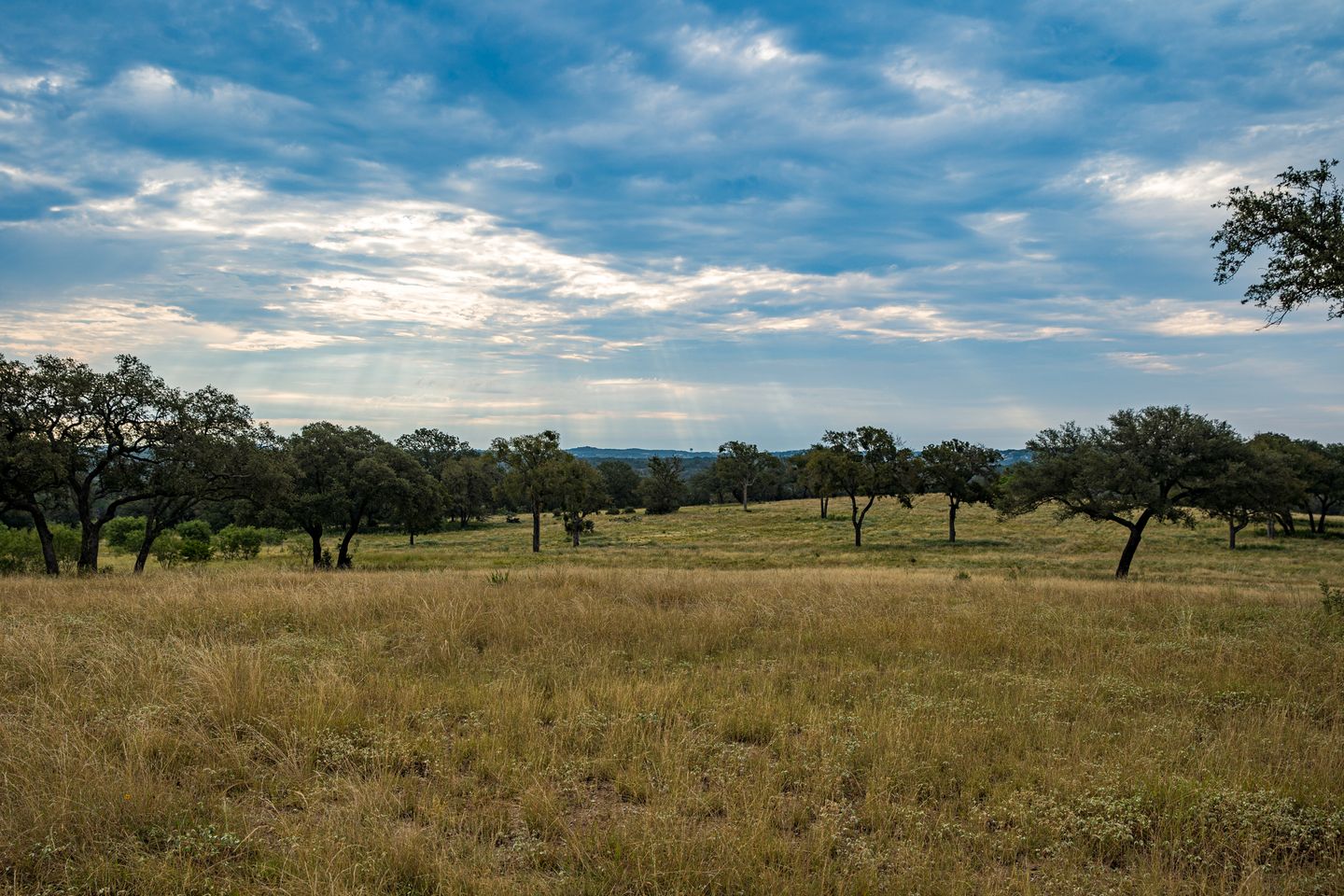 DosRios-89.jpg