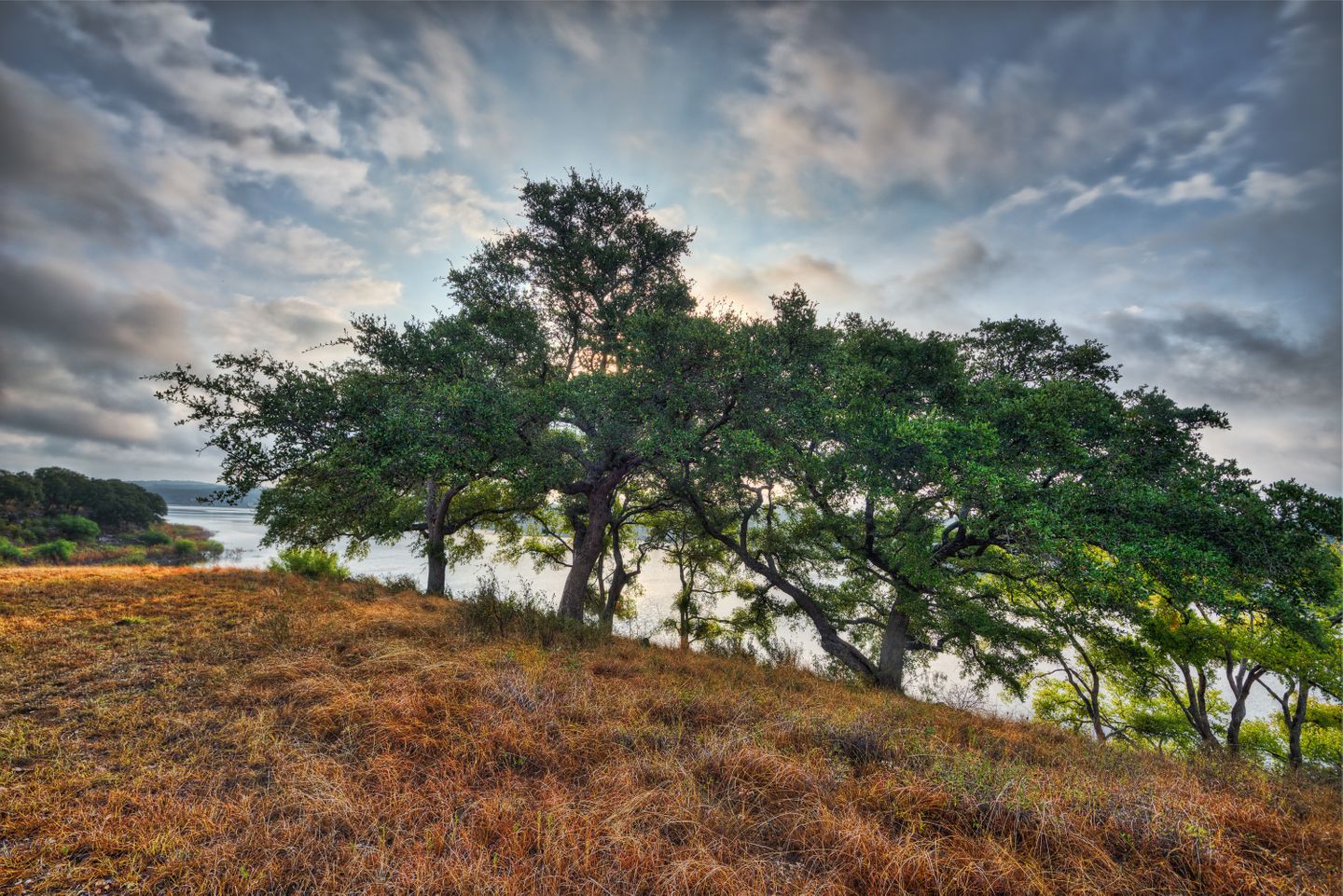 _DSC2423And8more-Edit.jpg