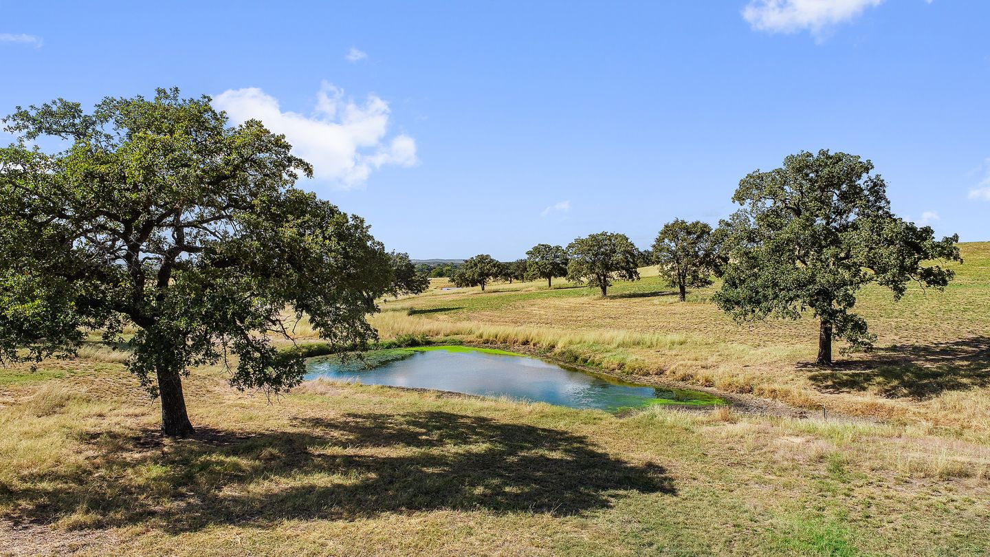 11_DJI_0050.jpg