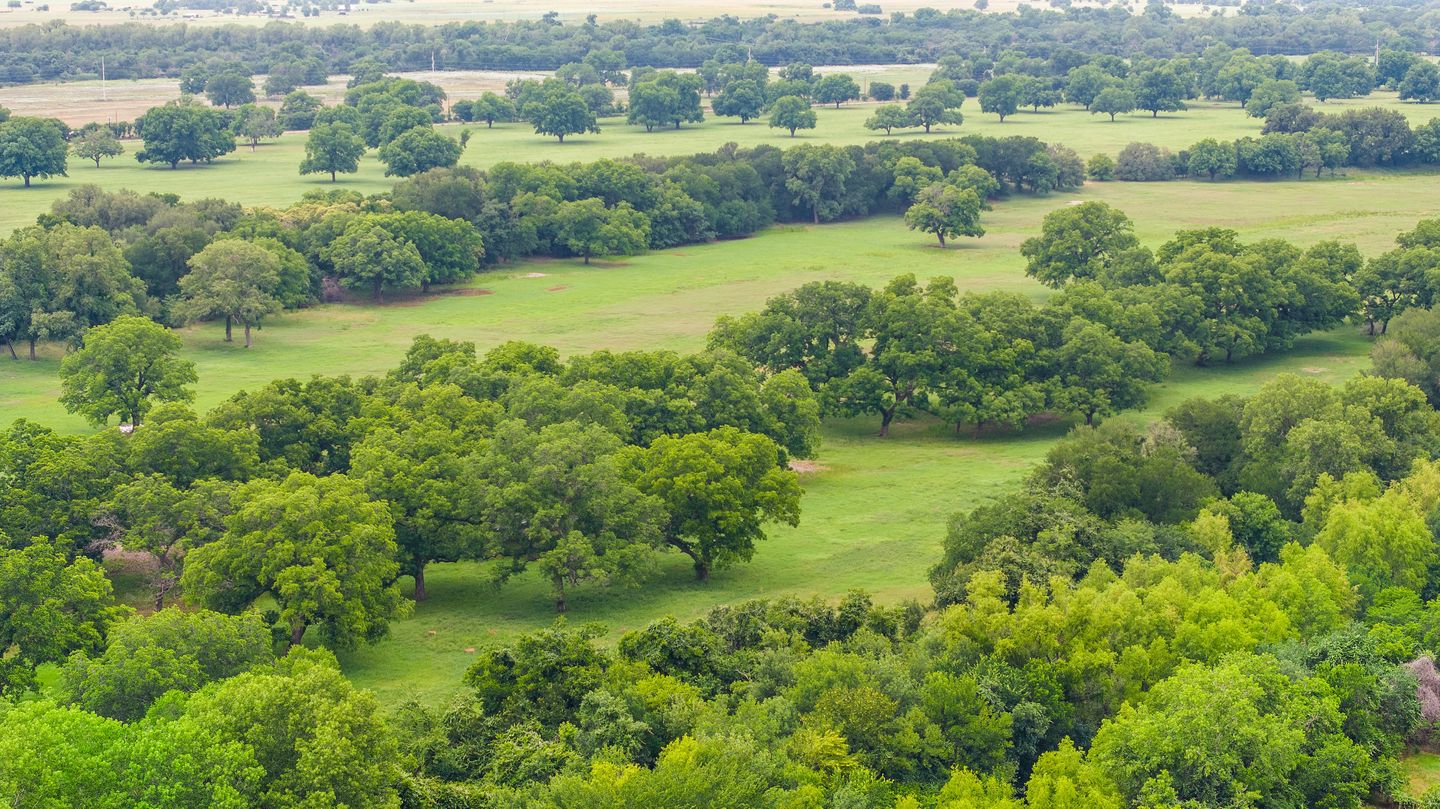 030_dji_20230529153308_0231_d.jpg
