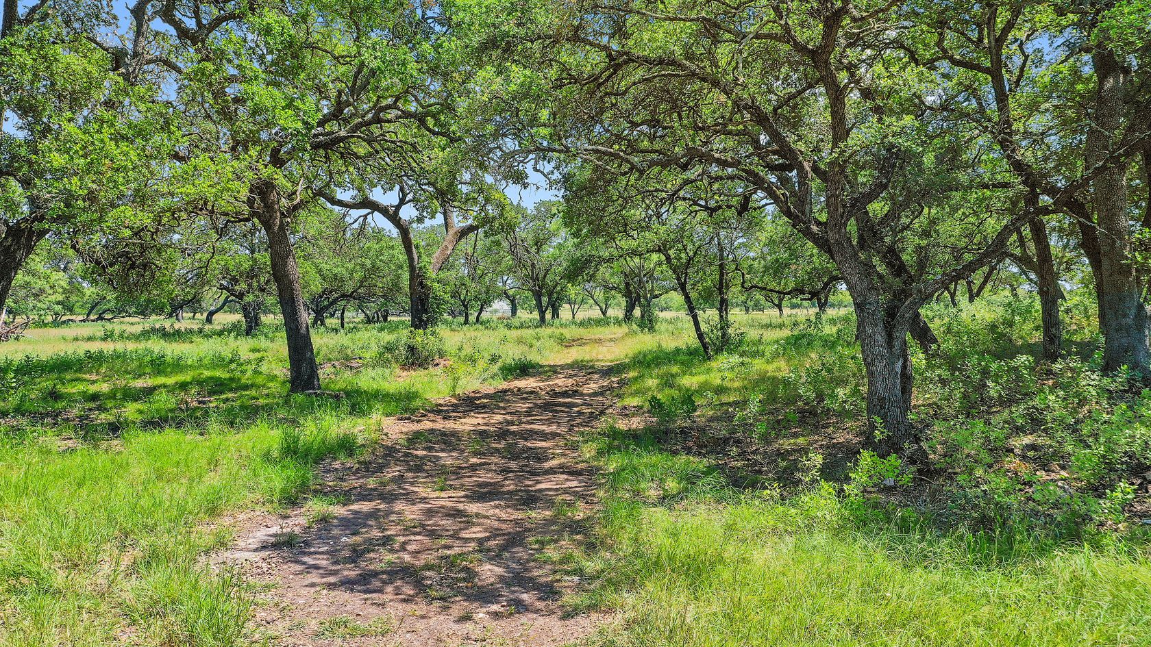 dji_0879.jpg