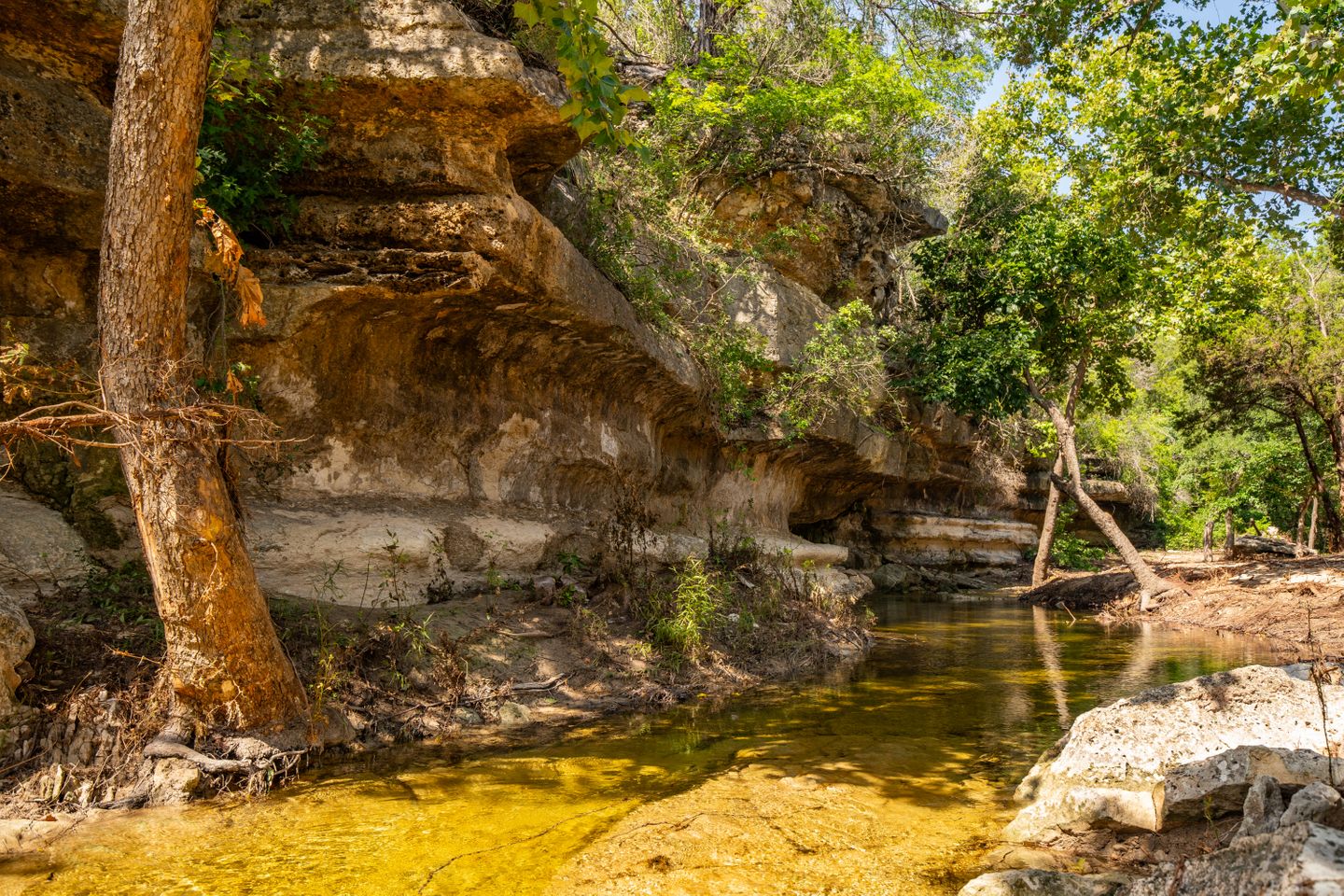 23644 Nameless (Creek Updates)-58 (1).jpg