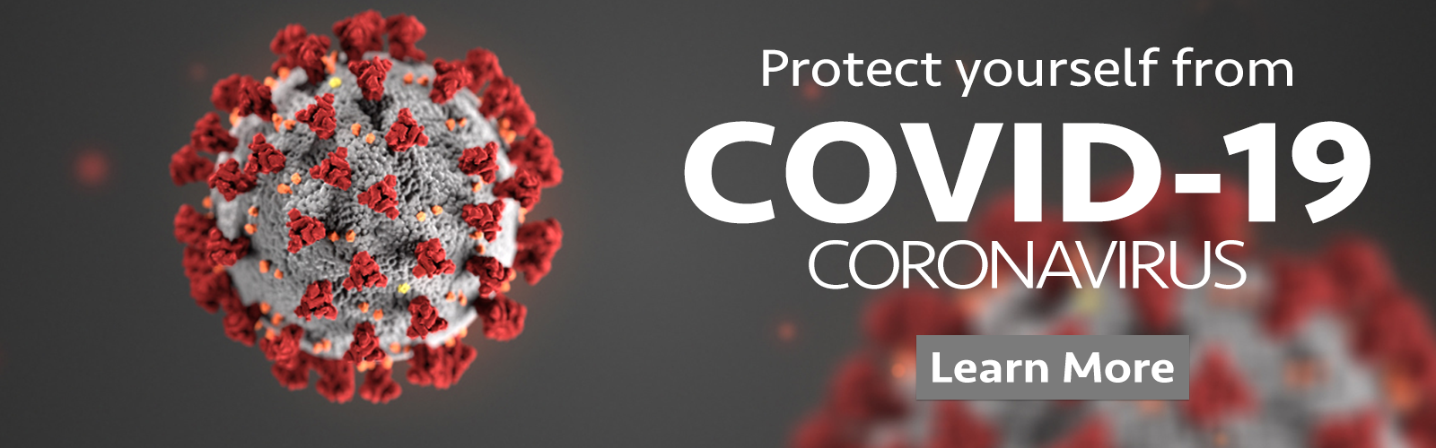 Coronavirus Website Banner1_1600x500.png