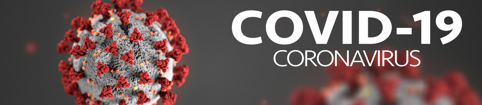 Coronavirus Website Banner2.png