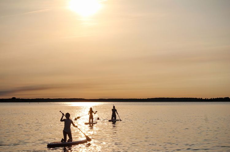 stand-up-paddle-1662068_1920.jpg