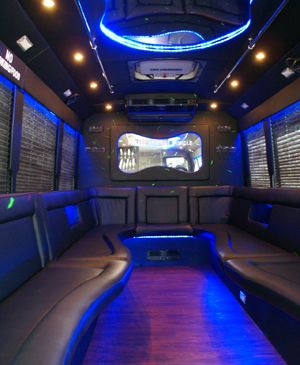 Satin_Party_Bus_03.jpg