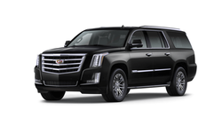 2019 Caddy (1).png