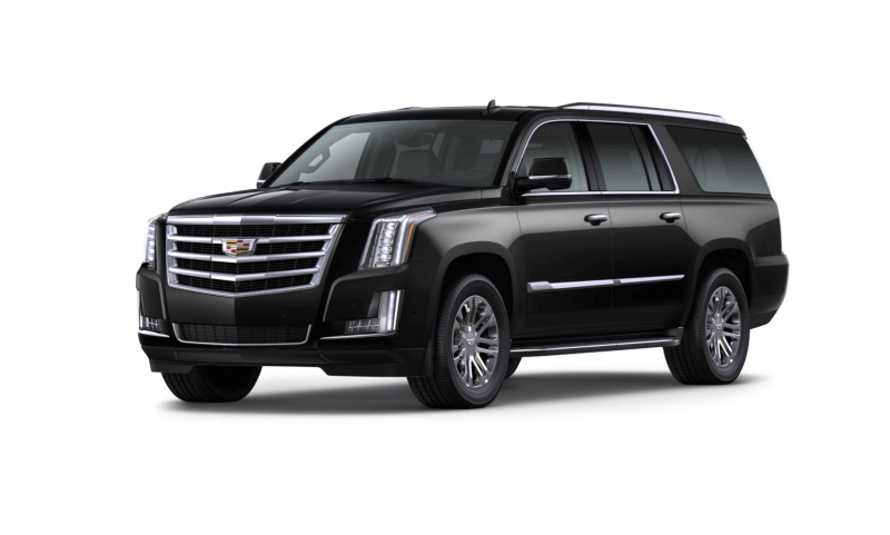 2019 Caddy (1).png