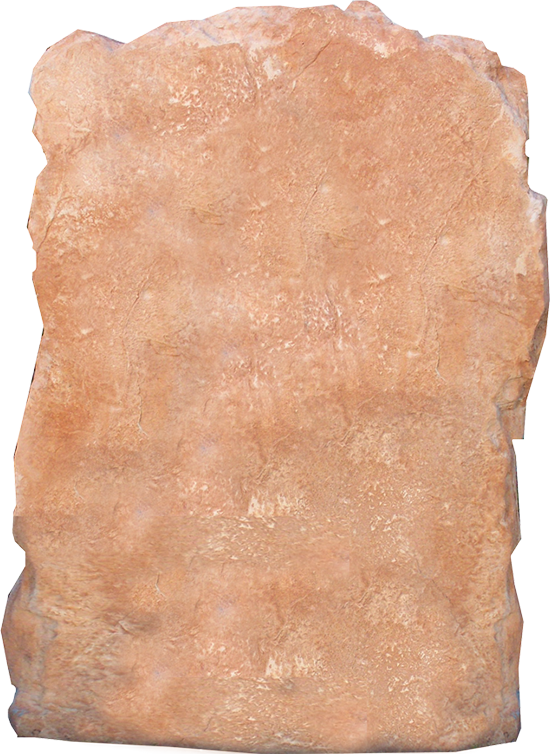 Dog Training Club Blank.png