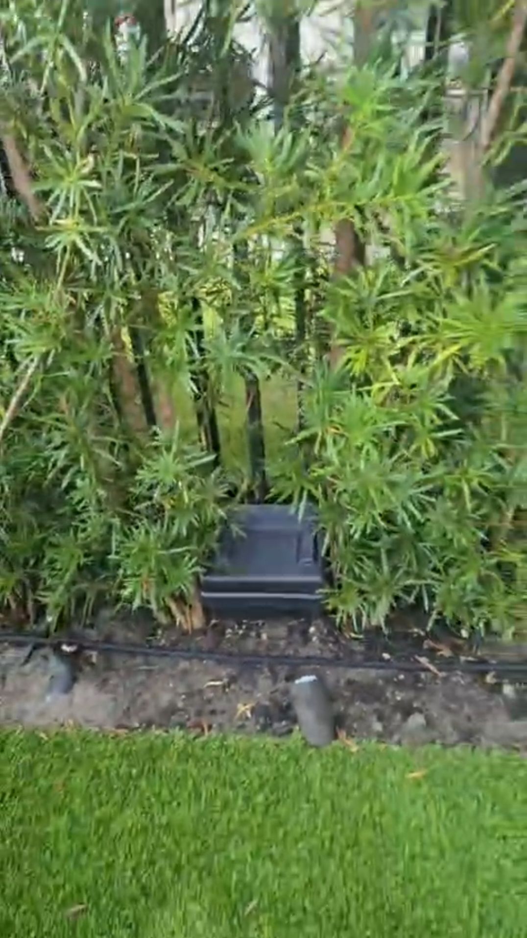 Screenshot_20260124-192840_WhatsApp (1).jpg