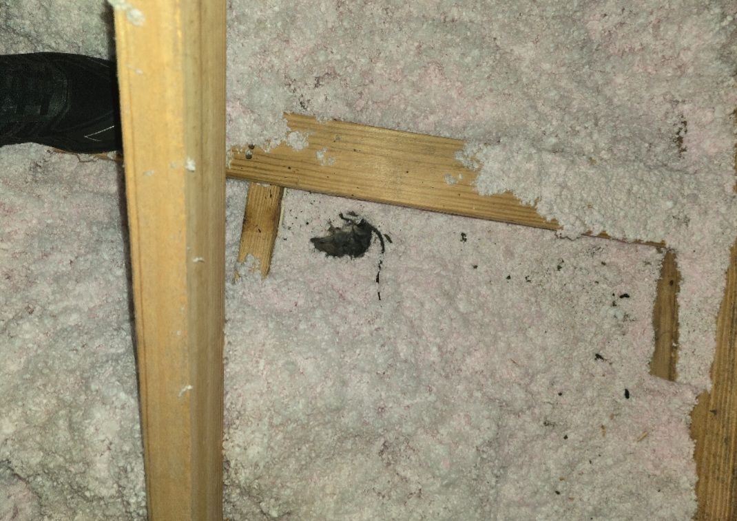 Screenshot_20260119-143748_Gmail (2).jpg