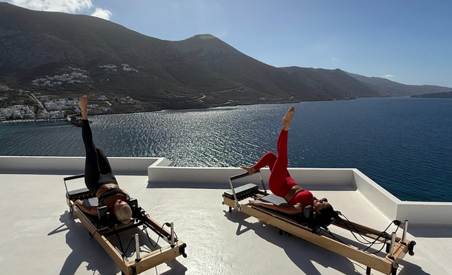 Aegialis Reformer.png