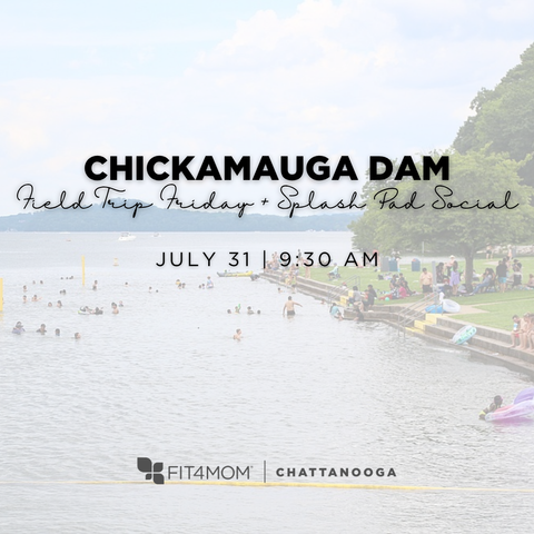 7_31 Chick Dam.png