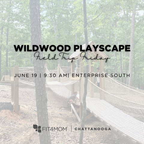 6_19 Wildwood Playscape.png