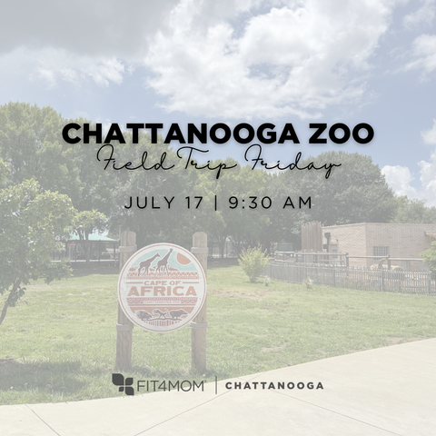 7_17  - Chatt Zoo.png