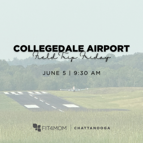 6_5 Collegedale Airport.png